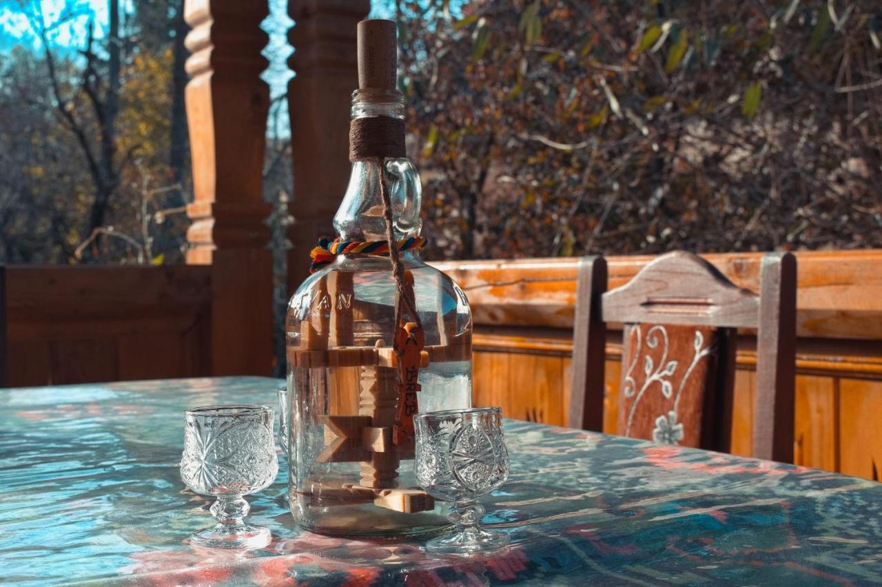 La Rodica In Vale Guest House Ocna Şugatag Eksteriør bilde
