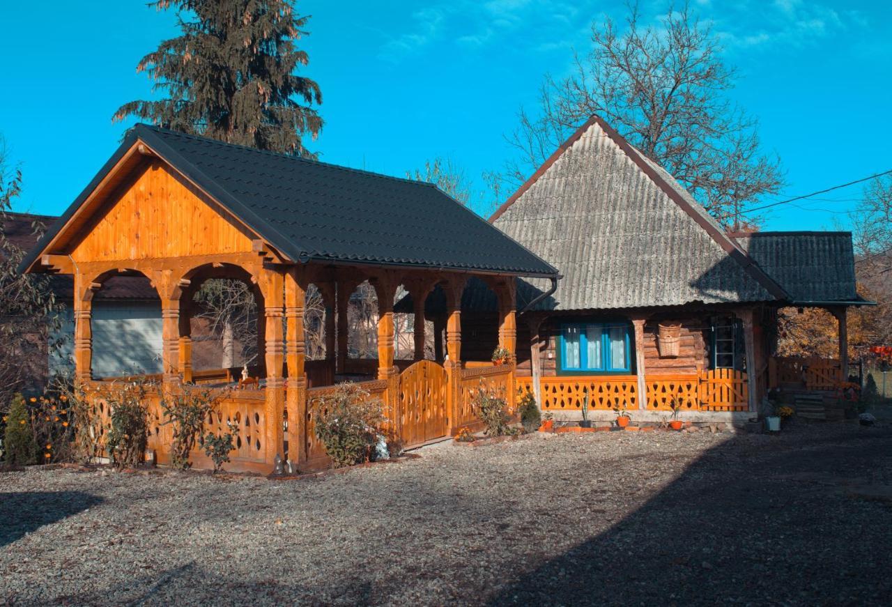 La Rodica In Vale Guest House Ocna Şugatag Eksteriør bilde