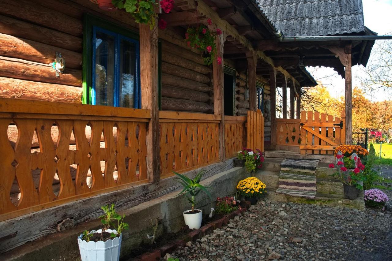 La Rodica In Vale Guest House Ocna Şugatag Eksteriør bilde