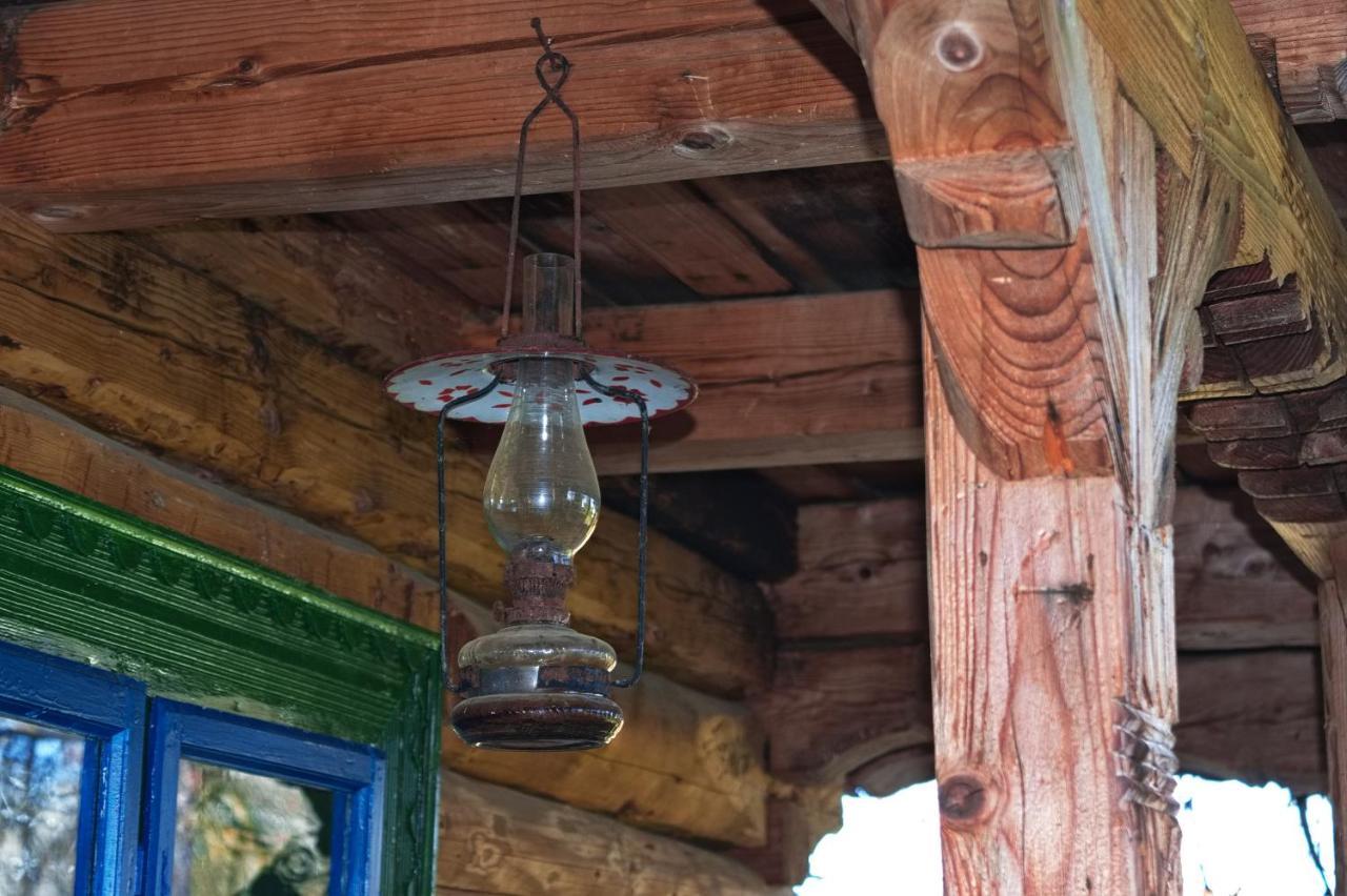 La Rodica In Vale Guest House Ocna Şugatag Eksteriør bilde